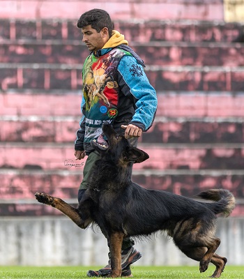 Goncalo Guerreiro & Achiles Iveron